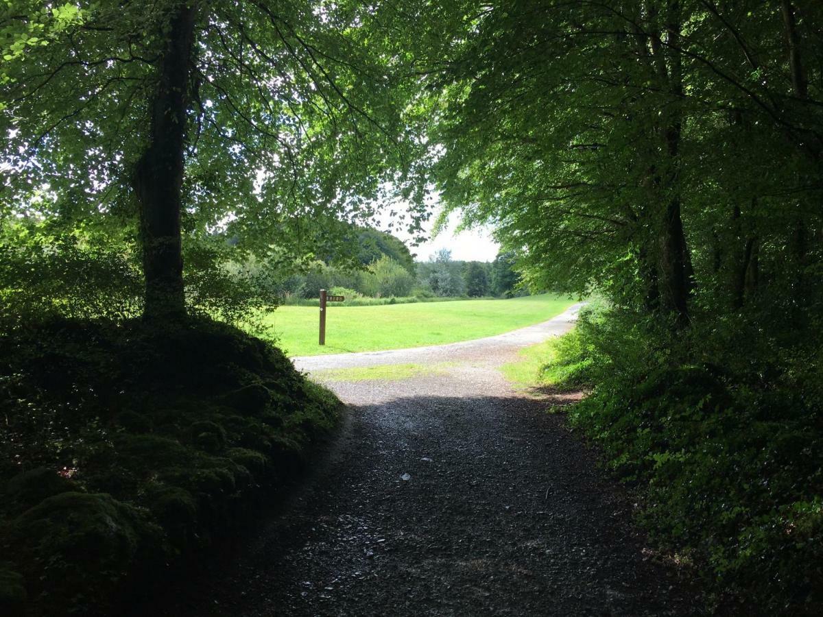Curraghchase Cottage Kilcornan Exteriör bild